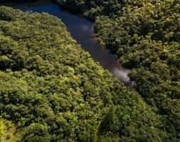 22 Congo River Facts For Kids And Students