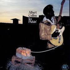 Image result for Albert Collins