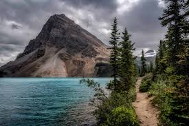 TWS publication awards announced for 2023