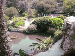 Japanese Tea Gardens San Antonio Japanese Tea Garden San Antonio Japanese Tea Garden San