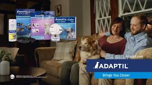 Free shipping · fast, free shipping · 35% off first autoship All Pet Supplies Home Facebook