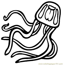 Jellyfish coloring pages to print. Box Jelly Fish Coloring Page For Kids Free Jellyfish Printable Coloring Pages Online For Kids Coloringpages101 Com Coloring Pages For Kids