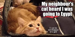 Lolcats Egypt Lol At Funny Cat Memes Funny Cat Pictures With Words On Them Lol Cat Memes Funny Cats Funny Cat Pictures With Words On
