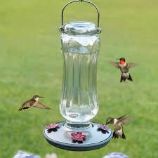 We did not find results for: Duncraft Com Starglow Vintage Hummingbird Feeder Humming Bird Feeders Hummingbird Flowers Hummingbirds Like