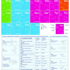 Periodic Chart Amino Acids 6nq80rx0dznw