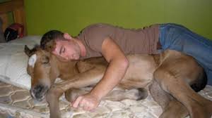Best adult videos and photos