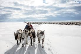 An Incredible Journey with Reindeer Herders in Siberia | DestinAsian