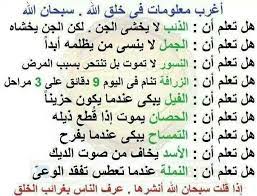 معلومات غريبة عن الحيوانات arabic calligraphy tattoo quotes calligraphy tattoo
