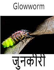 Context sentences for kira in english. Ambil Kira In English Alkaroman