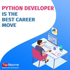 Python Developer Is The Best Career Move Digital Marketing Manager Job Poster Job Opening