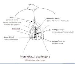 A picture says a thousand words. Mai Chibwe Vekwazimuto Kuziva Mamirire Akaita Mukadzi Murume
