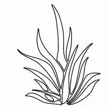 Adult coloring books are also available. Grass Para Colorear Coloring Pages Grass Sketch Grass Drawing