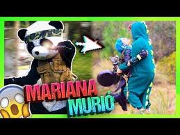 Players freely choose their starting point with their parachute and aim to stay in the safe zone for as long as possible. Mariana Murio De Un Disparo Detras De Camaras Del Rap De Free Fire Yolo Aventuras Youtube Yolo Detras De Camaras Rap