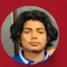 Alex Castrejon's Liberty High School Bio