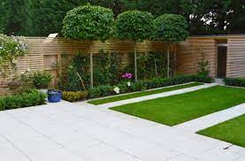 The trees in this selection do all of these things but, in my opinion are especially suitable for contemporary landscapes. Town Gardens And Courtyard Gardens