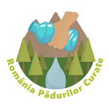 We did not find results for: Regia Nationala A Padurilor Romsilva Home Facebook