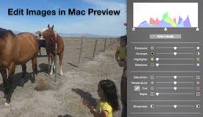 Just import your png image in the editor on the left, select which colors to change, and you'll instantly get a new png with the new colors on the right. How To Adjust Image Color In Mac Preview