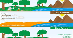 Faktor abiotik yang tidak terpengaruh oleh sinar matahari adalah. Contoh Gejala Alam Oleh Komponen Komponen Biotik Dan Abiotik