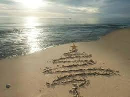 We love coastal christmas trees because they are perfect for a nautical, tropical, or ocean themed house. Merry Almost Christmas Picture Of Manchebo Beach Resort Spa Aruba Tripadvisor
