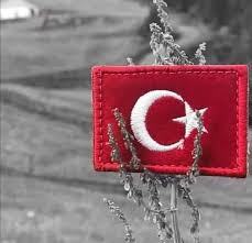 Türkische flagge ist immer kirmizidir. Yandeks Kartinki Poisk Pohozhih Izobrazhenij Turkish Flag Istanbul Photography Ekg Tattoo