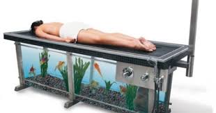 Hydroglass Showers You Atop Fish Tank Fish Tank Cool Inventions Massage Tables