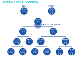Types Of Down Syndrome Central Mississippi Down Syndrome Society