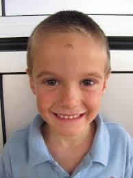 Tea Gardens Public School