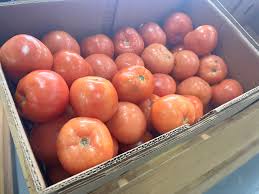 Rising food insecurity in Rockbridge County spurs local organizations to  act