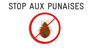 Check spelling or type a new query. Punaises De Lit Comment Prevenir L Infestation Site Officiel De La Ville De Pierrefitte Sur Seine