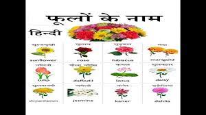 The hindi names have been provided using the english (latin) alphabet for the ease of understanding of english readers. Flowers Name In Hindi