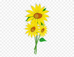 Free Free 294 Transparent Background Sunflower Clipart Sunflower Png SVG PNG EPS DXF File