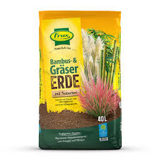 Bambus ist individuell einsetzbar und wächst dicht und rasant. Bambus In Den Garten Pflanzen Olerum