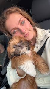 Dog owners, help! I'm looking for a trustworthy and affordable dog groomer  for my high-energy pup! She's super hyper, so I need someone with patience  and experience handling energetic dogs. Can anyone