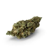 If buds are allowed to continue maturing, the white trichomes begin to turn amber/golden. Cannabis Bud Png Images Psds For Download Pixelsquid S111686873
