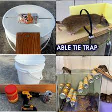 Trap pest data while you're at it. 15 Best Homemade Mouse Trap Ideas That Really Work