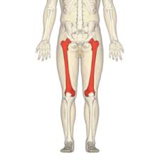Hip Flexor Pain And Pain In The Front Of The Hip Marathon Training Academy