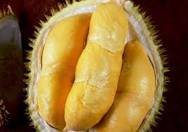 Bahkan ada yang mencapai miliaran rupiah untuk satu tangkainya! 9 Jenis Durian Unggul Yang Paling Populer Dan Diburu Di Indonesia Ahlitani Com