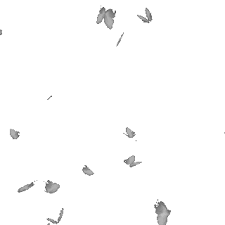 Floral illustrations cute illustration gif animated images gif lindos heart overlay butterfly gif tumblr png youtube design gifs. à¹' ê®¯ê®'á¥™á¥™ S á » ê®ifs Images From The Web Overlays Transparent Background Overlays Transparent Pretty Gif