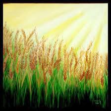 Wheat Field By Usha Rai Chalkboard Drawings Wheat Fields Blue Painting Download this premium vector about cartoon wheat isolated set, and discover more than 10 million professional graphic resources on freepik. wheat field by usha rai chalkboard
