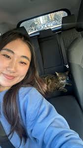 Female Roommate Wanted in Chicago's Gold Coast, Lincoln Park, or  Lakeview/LE areas