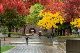 Home Biomedical Health Informatics University Of Minnesota University Of Minnesota Minnesota Home Minnesota