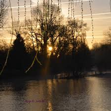Les Rives Du Fleuve Charente Lacharente Kisslacharente Kodakmoments Nouvelleaquitaine Hautlimousin Igersnature Jar Nouvelle Aquitaine Instagram Limousin