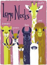 Click hereto get an answer to your question long neck of camel or giraffe has. Artwork Camels Illustration Animal Illustration Illustration