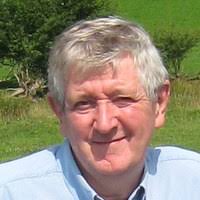 PDF) The Cambridge companion to travel writing