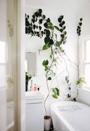 We did not find results for: My Scandinavian Home Going Up In 2018 Indoor Climbing Plants
