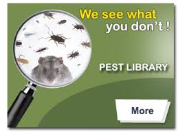 When you choose defense pest control, you're choosing a company that has been committed to defending homes like yours in apache junction from dangerous pests, like scorpions, for over a decade. Apex Exterminating Inc We Will Provide You With Pest Control Education Elimination Control Integrated Pest Management Ipm Advice Reliable Service Customer Satisfaction Guaranteed Service Coverage Area Charlotte North Carolina South Carolina