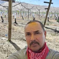 Salmos, Proverbios y citas Bíblicas.