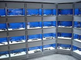 Fish Tank Rack Systems For Multiple Tanks Diy Diy Tank Diy Rack Racking System