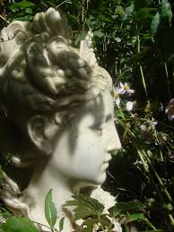 The contrail of ORPHEUS