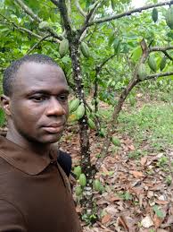Planting trees to mitigate climate change in Ghanaian farms